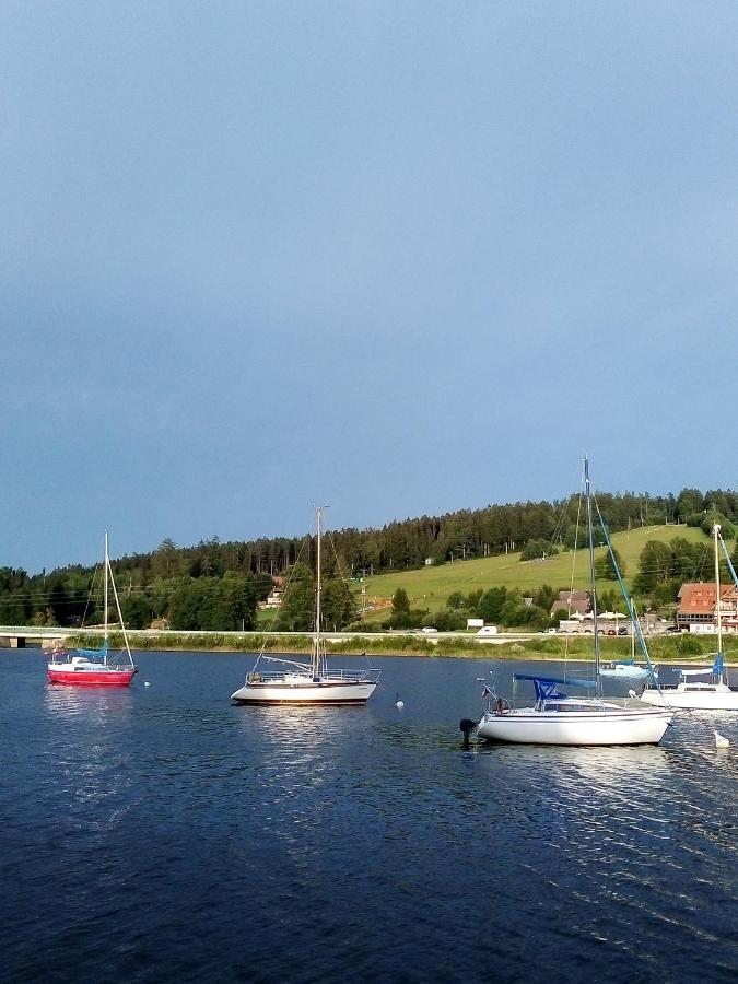Apartman U Lipna, Pro Cyklisty, Motorkare Frymburk Exterior foto