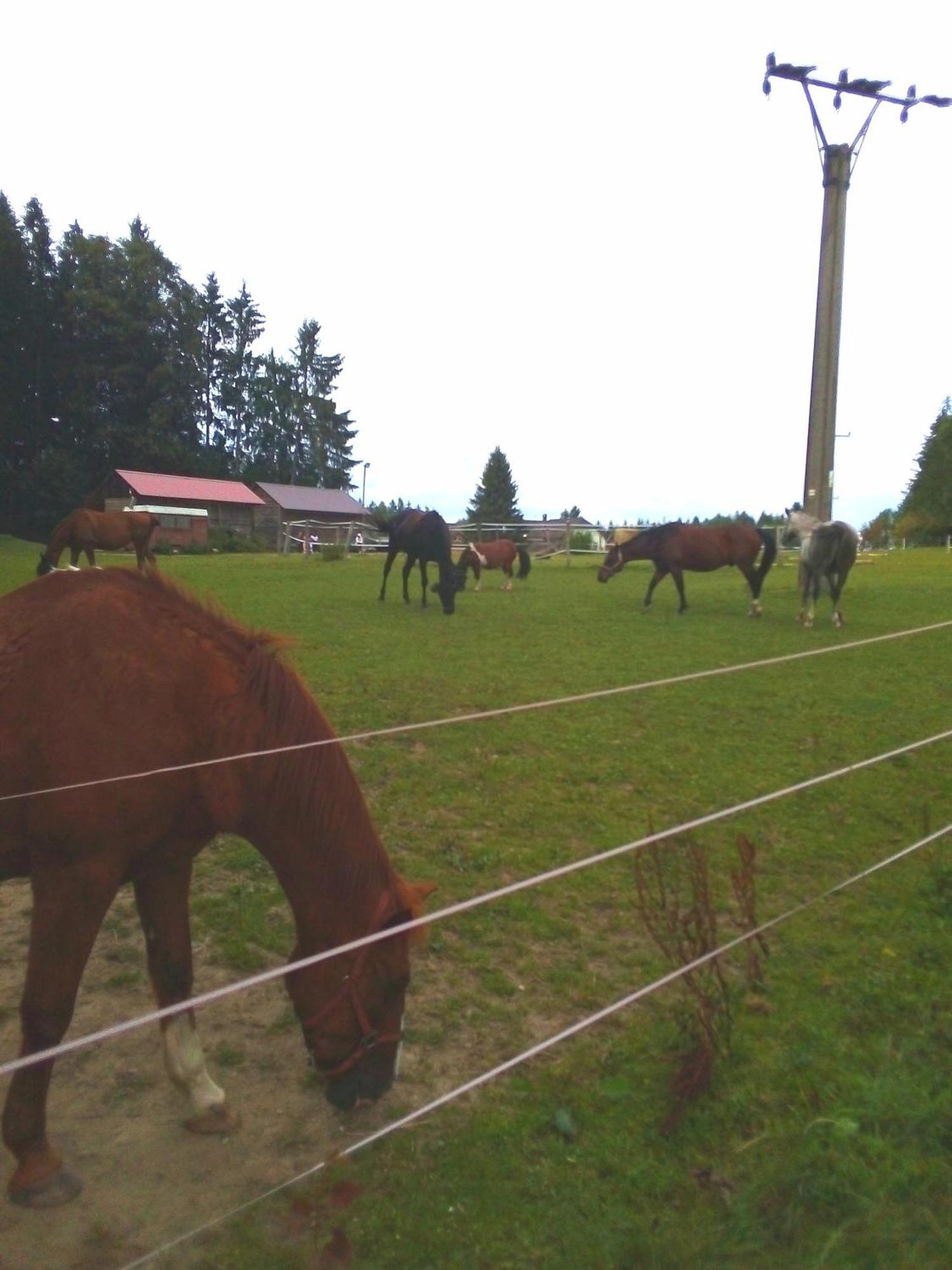 Apartman U Lipna, Pro Cyklisty, Motorkare Frymburk Exterior foto